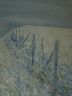 DSC00665.JPG